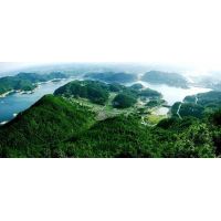河北省邢臺信都區：廢棄礦山蛻變生態屏障